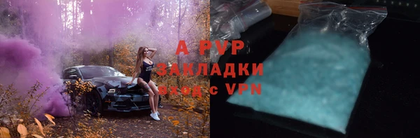 крисы Алзамай