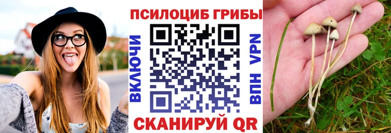 Псилоцибиновые грибы GOLDEN TEACHER  Павловский Посад 